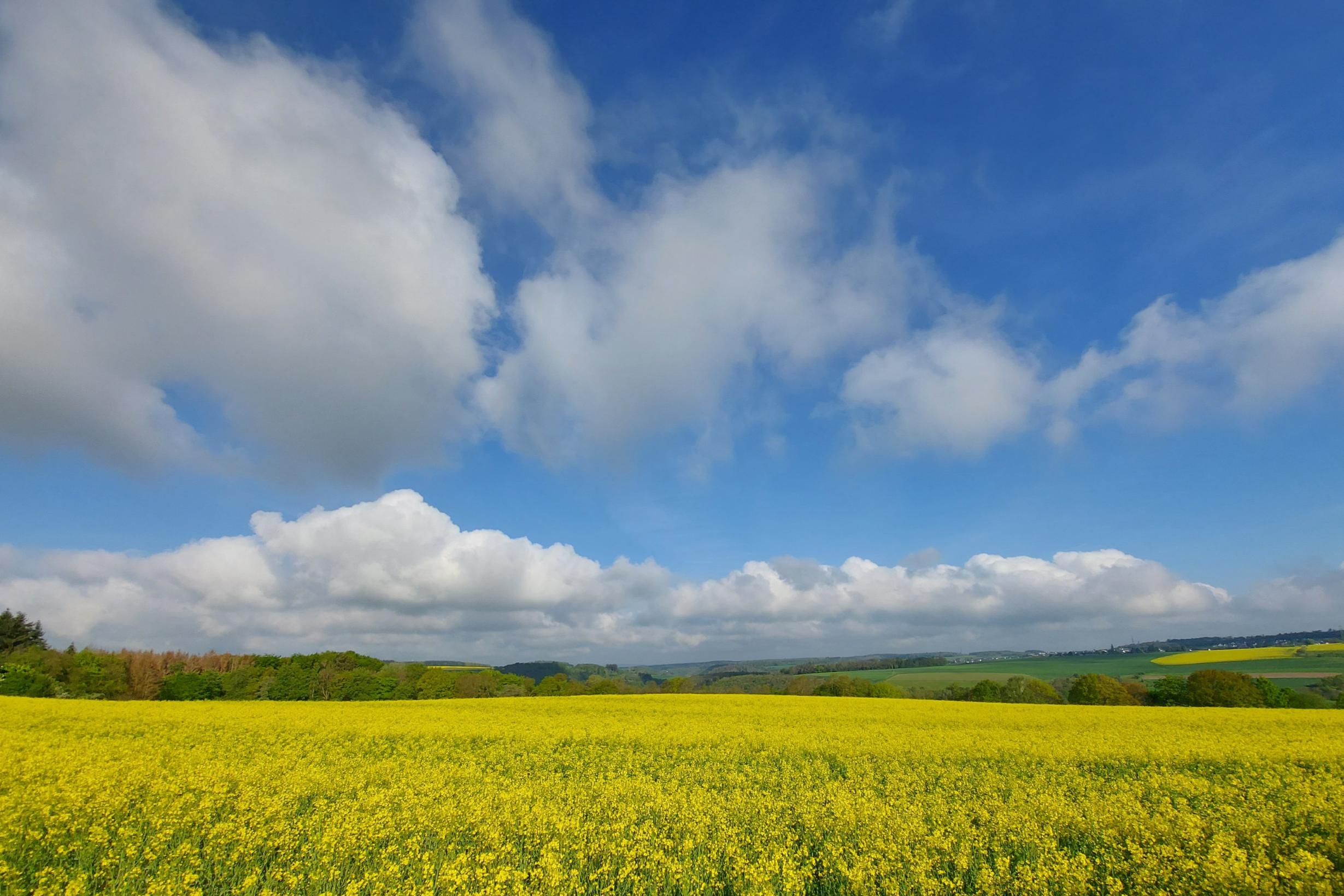 20210528_082914_by_Kerstin_Dupont_pfarrbriefservice