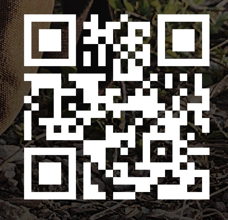 Plakat_13.Saarl.Hospiztag_2026_11_06-1 QR Code
