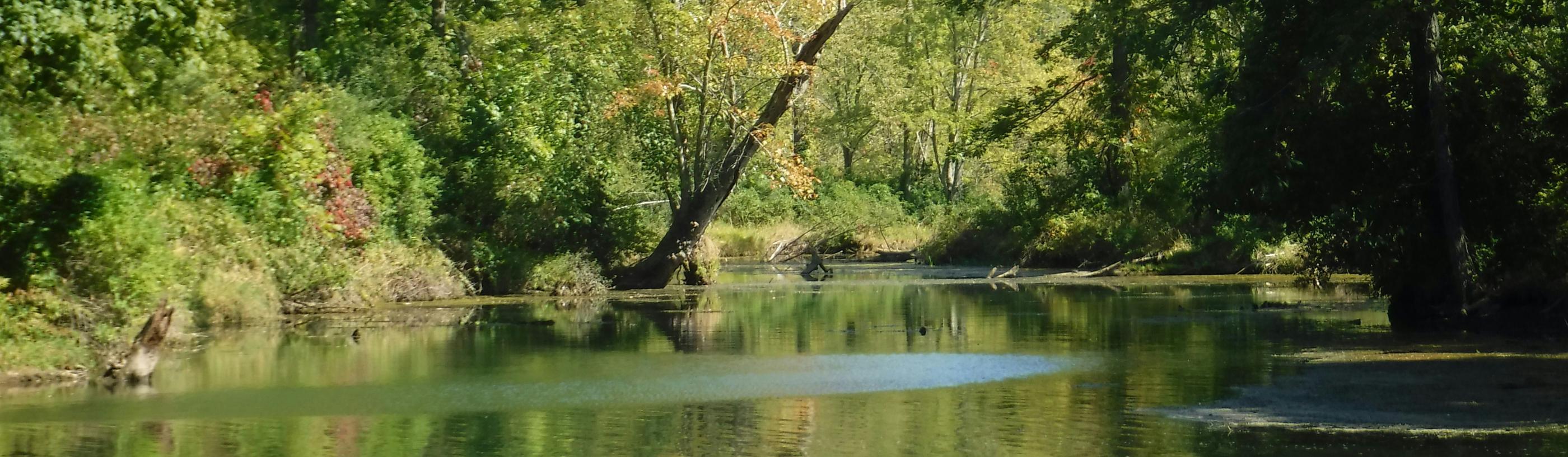 Pastoraler Raum Dillingen