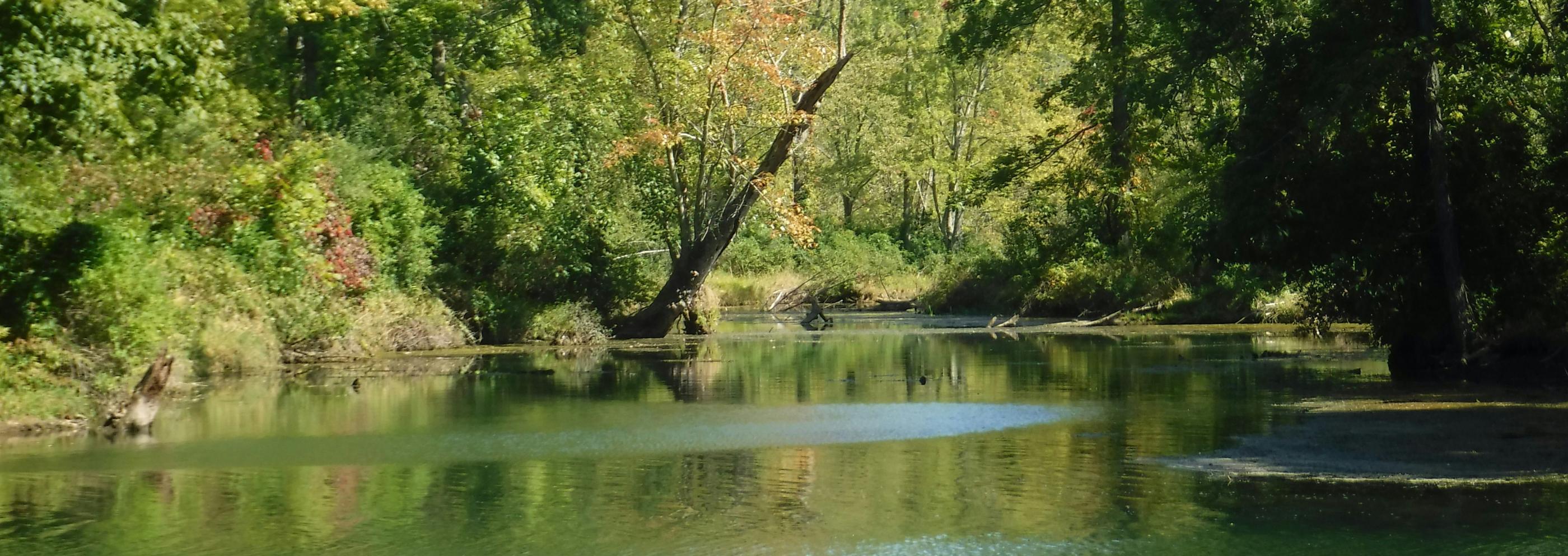 Pastoraler Raum Dillingen